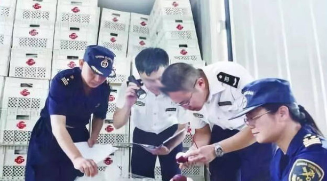 清关公司能否加快通关速度.jpg