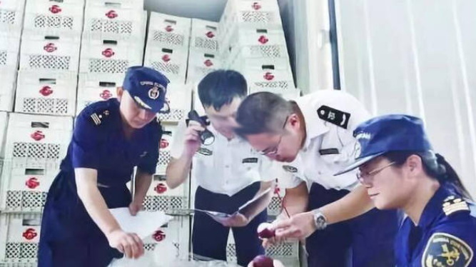 ESLINK打单系统