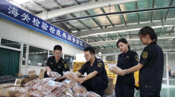 国际海运打单系统