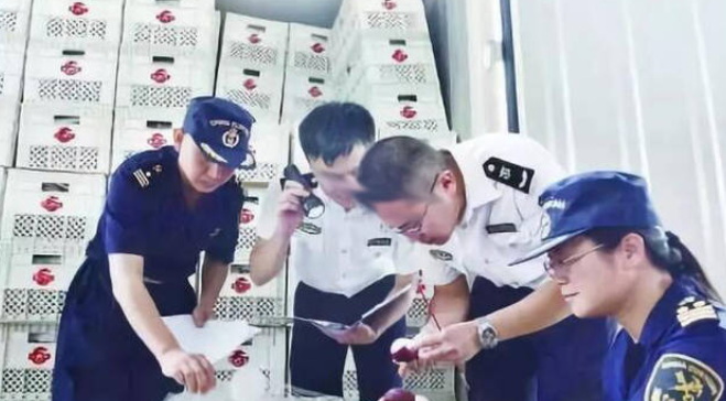 清关系统如何优化报关单据处理流程.jpg