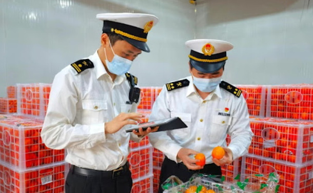 贸易合规解决方案