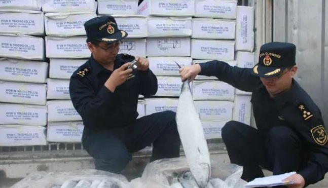 清关系统如何实现智能化的货物分类与申报.jpg