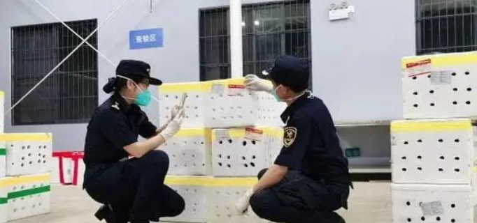 清关被扣原因