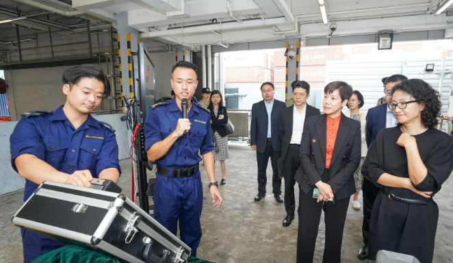 海关检查应对策略