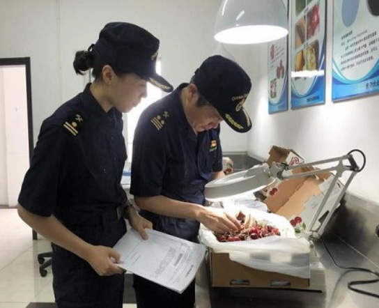 海关申报自动化