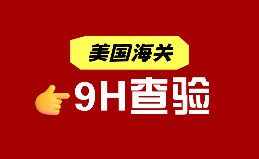 9H查验 (2)